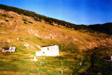 Originally owned by Patrick and Sarah (Murphy) Pittman.&amp;nbsp; At time of resettlement it was owned by Charlie and Liz Pittman(no relation).